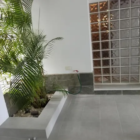 Bruna's House