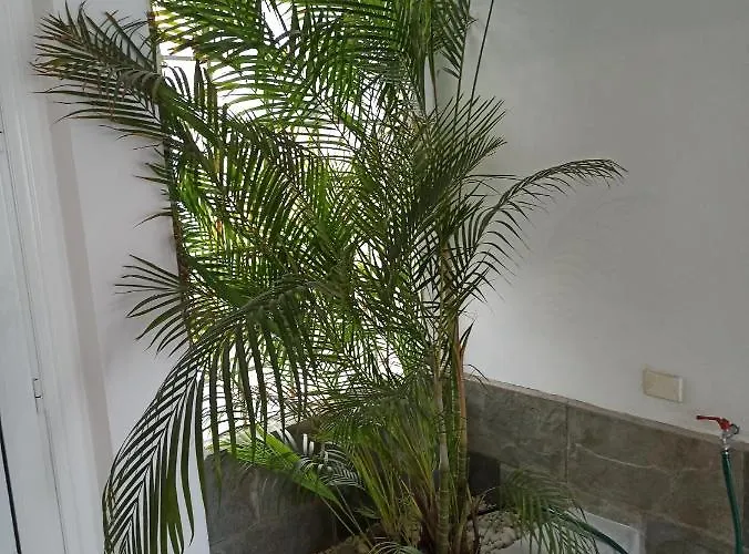 Apartamento Bruna's House Costa Adeje (Tenerife)