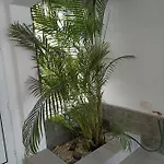 Апартаменти Bruna's House Адехе