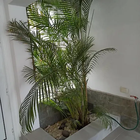 Апартаменти Bruna's House Адехе